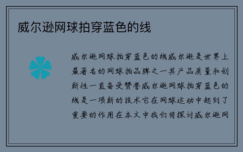 威尔逊网球拍穿蓝色的线